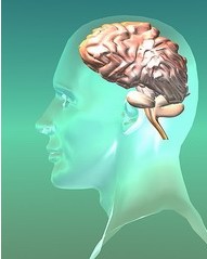 只要經(jīng)過速讀記憶訓練,你也可能成為天才       ——  精英特速讀記憶訓練網(wǎng)